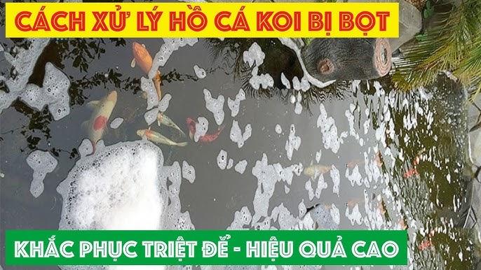 Nằm Mơ Thấy Đi Du Lịch Đánh Số Mấy? Giải Mã Và Lời Khuyên