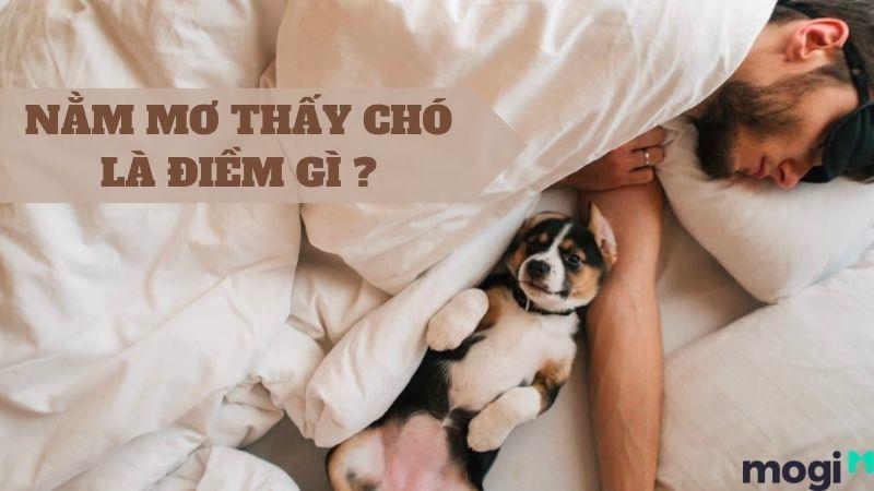 Chó đen quấn quít bảo vệ chủ nhân