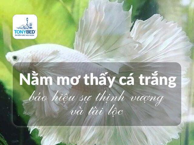 Nằm Mơ Thấy Đi Du Lịch Đánh Số Mấy? Giải Mã Và Lời Khuyên