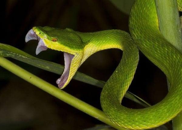 Nằm Mơ Thấy Đi Du Lịch Đánh Số Mấy? Giải Mã Và Lời Khuyên